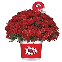 Kansas City Chiefs Team Color Mum