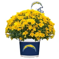Los Angeles Chargers Team Color Mum