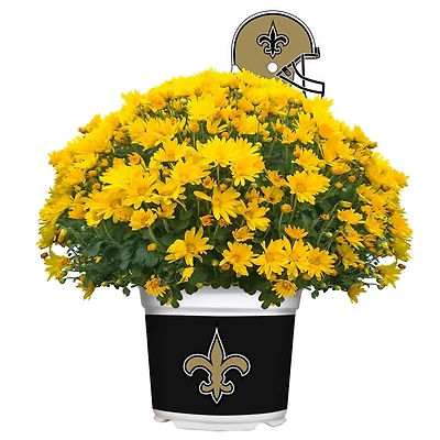 New Orleans Saints Team Color Mum