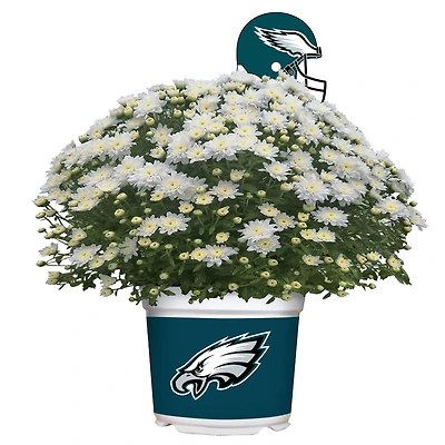Philadelphia Eagles Team Color Mum