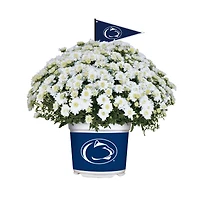 Penn State Nittany Lions Team Color Mum