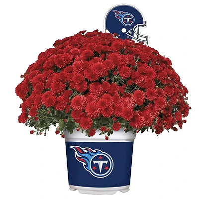 Tennessee Titans Team Color Mum
