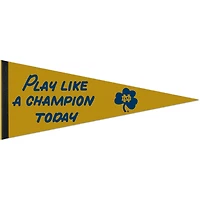 WinCraft Notre Dame Fighting Irish 12" x 30" Large Logo Premium Pennant