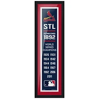 St. Louis Cardinals 6'' x 22'' Empire Framed Artwork