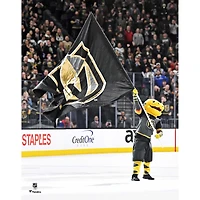 Chance Vegas Golden Knights Unsigned Waving Flag Photograph