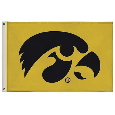 Iowa Hawkeyes Pride 2' x 3' Flag