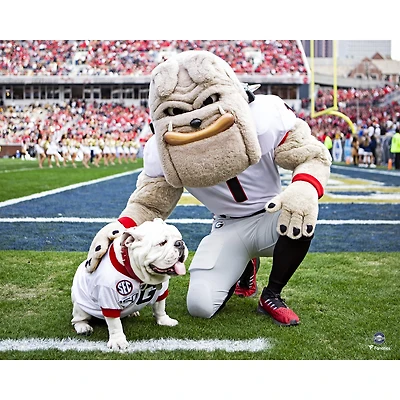 Georgia Bulldogs Unsigned Hairy Dawg with Uga Photograph