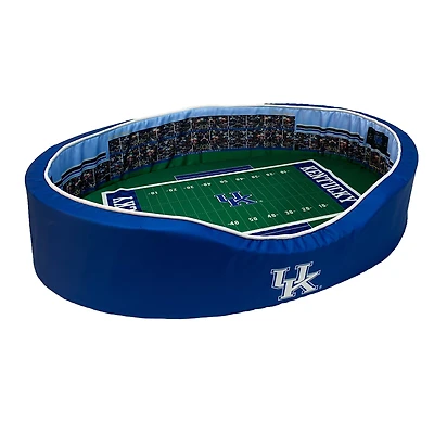 Royal/White Kentucky Wildcats 34'' x 22'' x 7'' Medium Stadium Oval Dog Bed