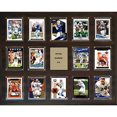 Peyton Manning Indianapolis Colts 16'' x 20'' Plaque