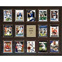 Peyton Manning Indianapolis Colts 16'' x 20'' Plaque
