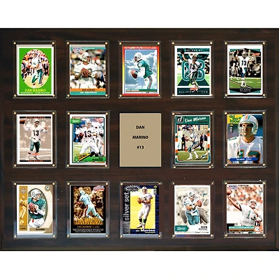 Dan Marino Miami Dolphins 16'' x 20'' Plaque