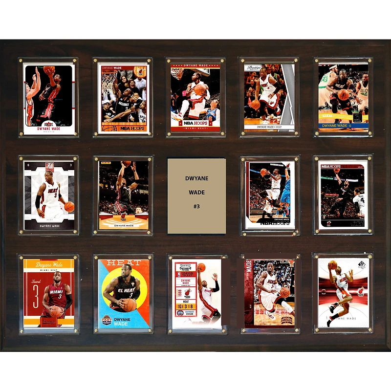 Dwyane Wade Miami Heat 16'' x 20'' Plaque