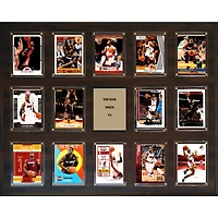 Dwyane Wade Miami Heat 16'' x 20'' Plaque