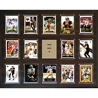 Drew Brees New Orleans Saints 16'' x 20'' Plaque