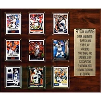 Peyton Manning Denver Broncos 15'' x 18'' Plaque