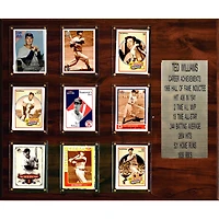 Ted Williams Boston Red Sox 15'' x 18'' Plaque
