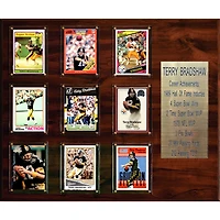 Terry Bradshaw Pittsburgh Steelers 15'' x 18'' Plaque