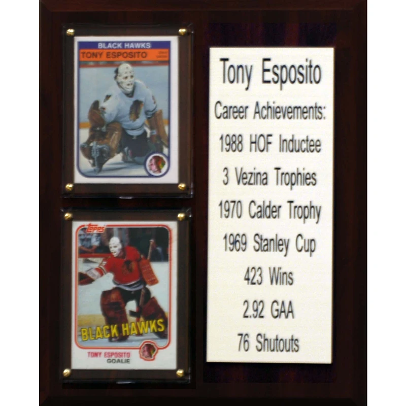 Tony Esposito Chicago Blackhawks 8'' x 10'' Team Plaque