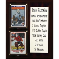 Tony Esposito Chicago Blackhawks 8'' x 10'' Team Plaque