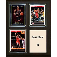Derrick Rose Chicago Bulls 8'' x 10'' Plaque