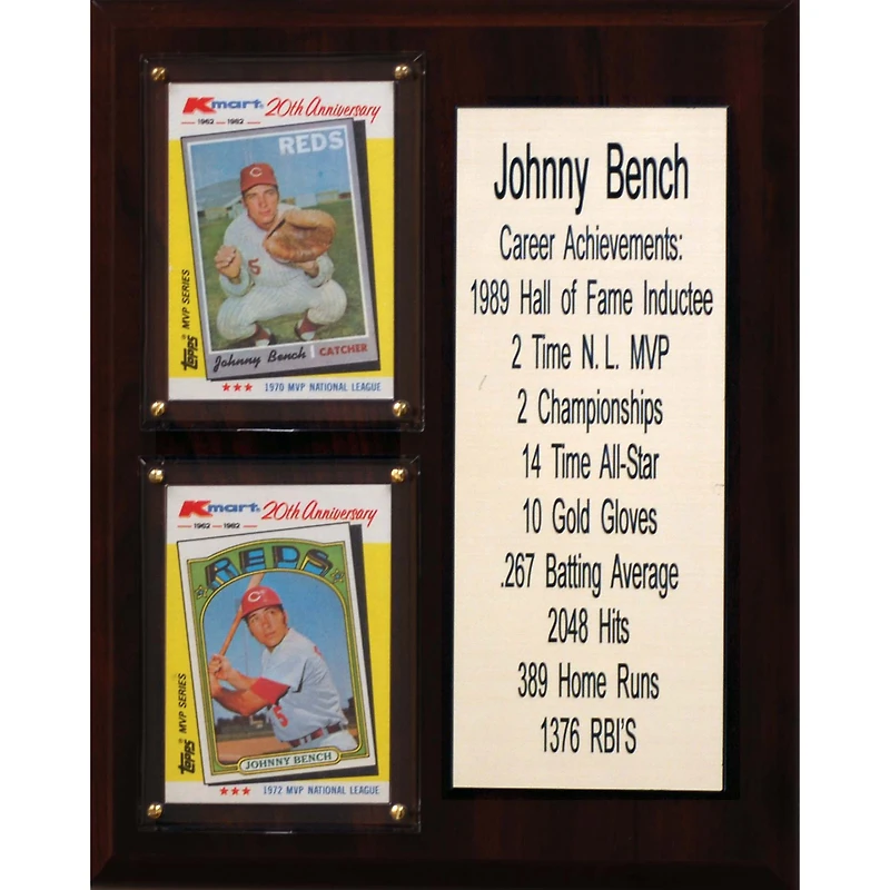 Johnny Bench Cincinnati Reds 8'' x 10'' Plaque