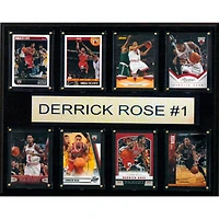 Chicago Bulls 12'' x 15'' Plaque
