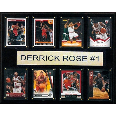 Chicago Bulls 12'' x 15'' Plaque