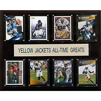 Georgia Tech Yellow Jackets 12'' x 15'' All-Time Greats Plaque