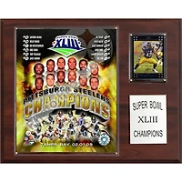 Pittsburgh Steelers Super Bowl XLIII Champions 12'' x 15'' Plaque