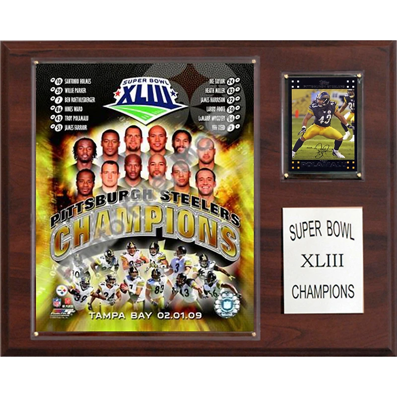 Pittsburgh Steelers Super Bowl XLIII Champions 12'' x 15'' Plaque