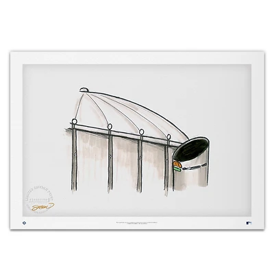 Tampa Bay Rays 20'' x 14'' Tropicana Field Limited Edition Fine Art Print