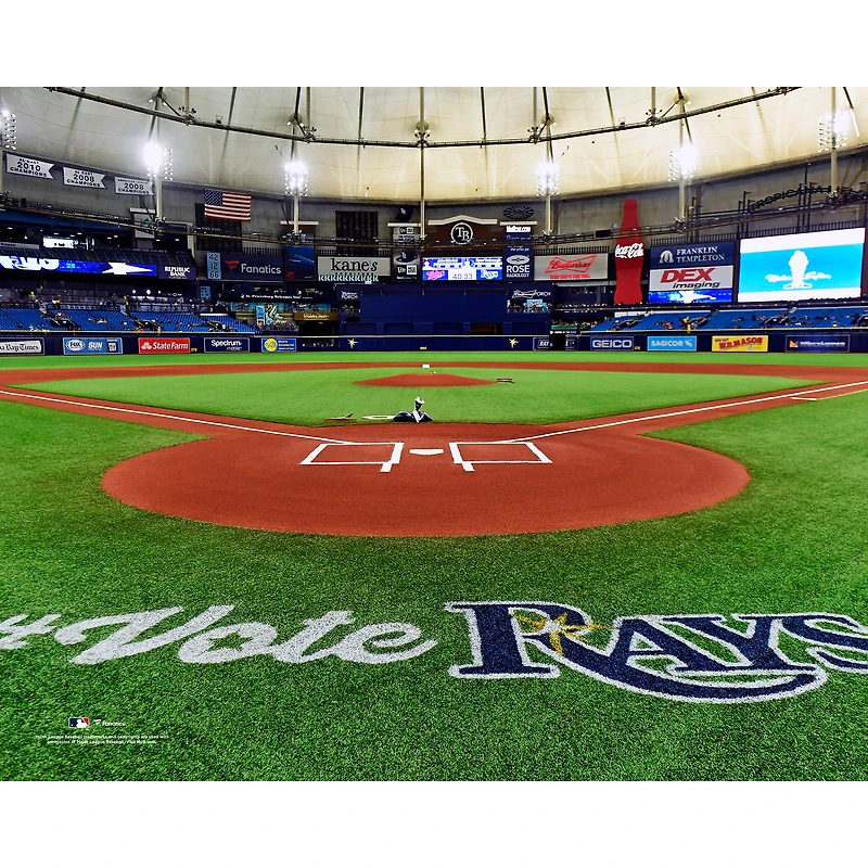 Tampa Bay Rays Unsigned Behind Home Plate General View Photograph