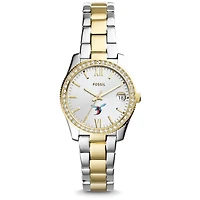Women's Fossil Delaware State Hornets Scarlette Mini Two Tone Stainless Steel Watch