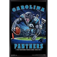 Carolina Panthers 24.25'' x 35.75'' Framed Mascot Endzone Poster