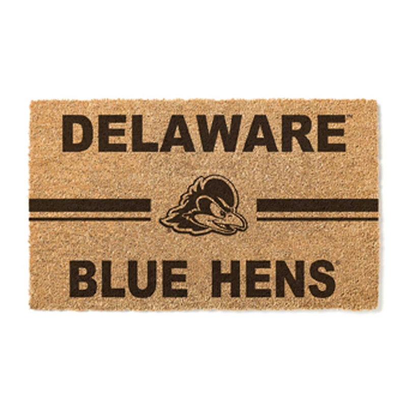 Delaware Fightin' Blue Hens 18" x 30" Team Logo Doormat