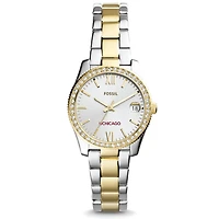 Women's Fossil UChicago Maroons Scarlette Mini Two-Tone Stainless Steel Watch