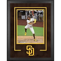 San Diego Padres Deluxe Framed 16" x 20" 2020 Logo Vertical Photograph Frame