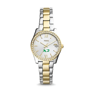 Women's Fossil North Dakota Scarlette Mini Two-Tone Stainless Steel Watch