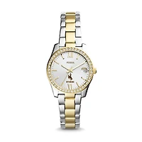 Women's Fossil Wyoming Cowboys Scarlette Mini Two-Tone Stainless Steel Watch