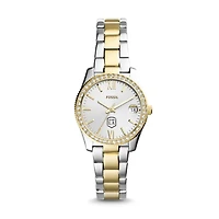 Women's Fossil Cal State L.A. Golden Eagles Scarlette Mini Two-Tone Stainless Steel Watch