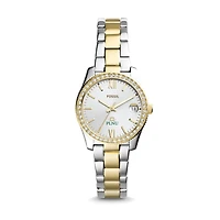 Women's Fossil Silver/Gold Point Loma Sea Lions Scarlette Mini Two-Tone Stainless Steel Watch