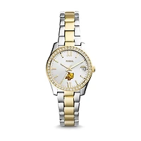 Women's Fossil Silver Rowan Profs Scarlette Mini Two-Tone Stainless Steel Watch