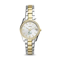 Women's Fossil Silver SUNY Delhi Broncos Scarlette Mini Two-Tone Stainless Steel Watch