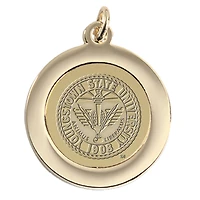 Women's Gold Youngstown State Penguins Pendant