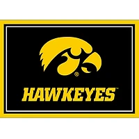 Imperial Iowa Hawkeyes 2'8" x 3'10" Area Rug