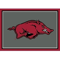 Imperial Arkansas Razorbacks 2'8" x 3'10" Area Rug
