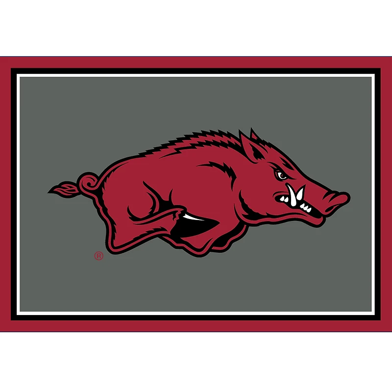 Imperial Arkansas Razorbacks 2'8" x 3'10" Area Rug