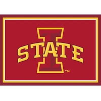 Imperial Iowa State Cyclones 2'8" x 3'10" Area Rug