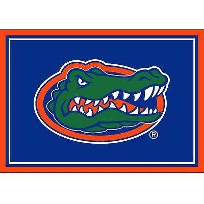 Imperial Florida Gators 2'8" x 3'10" Area Rug