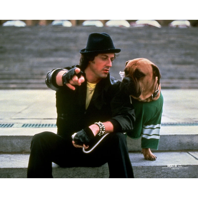 Rocky III Unsigned Rocky with Dog on Steps Photograph